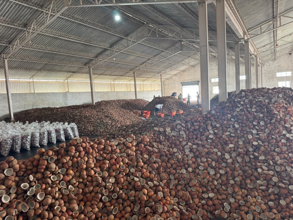 Copra stored in the PKB Oil Mills storage shed